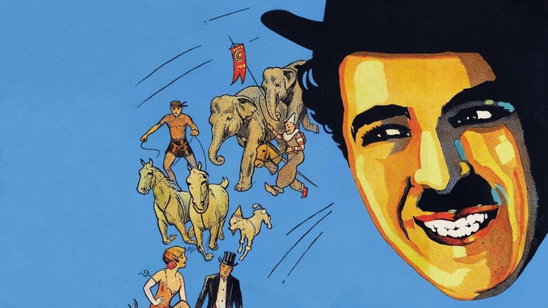 The Circus The Circus