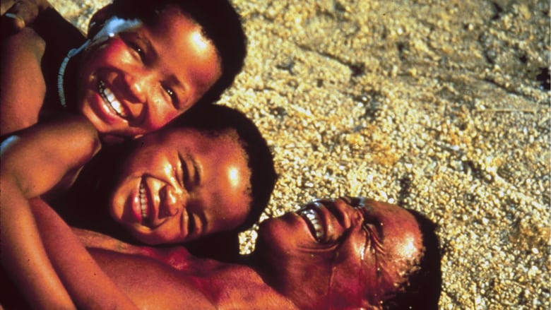 The Gods Must Be Crazy II The Gods Must Be Crazy II